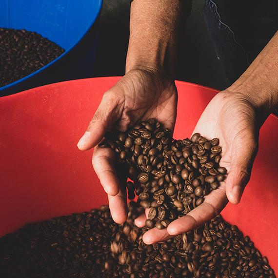 Coffee Beans - Image 4